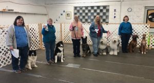 Group Earning Canine Good Citizen Titles